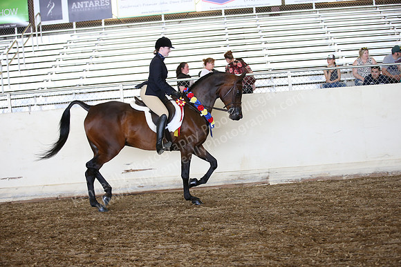 AHANC_Show18_SatPM_3289
