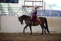AHANC_Show18_SatPM_3306
