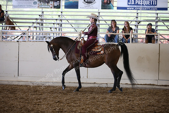 AHANC_Show18_SatPM_3308