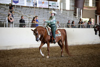 AHANC_Show18_SatPM_3329
