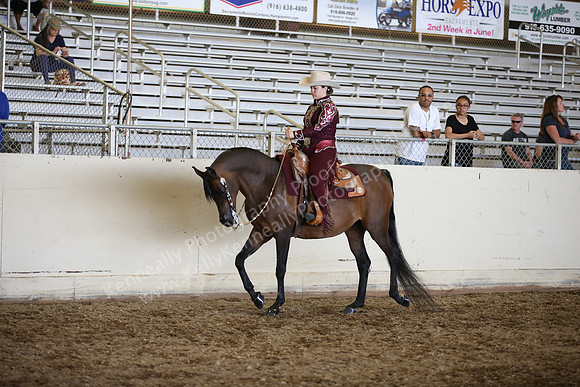 AHANC_Show18_SatPM_3335