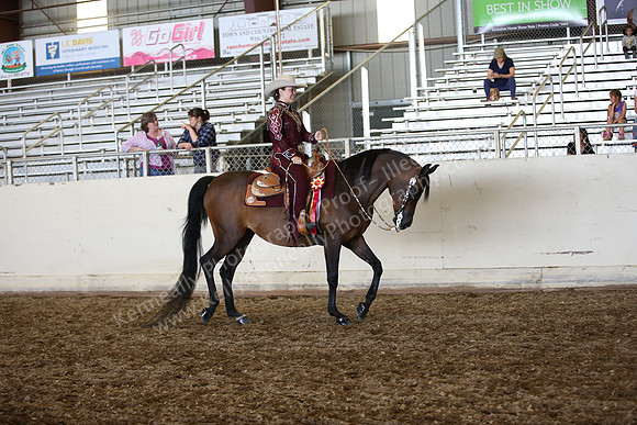 AHANC_Show18_SatPM_3341