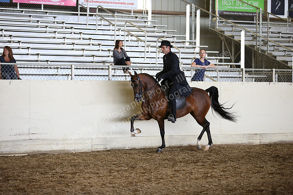 AHANC_Show18_SatPM_3370