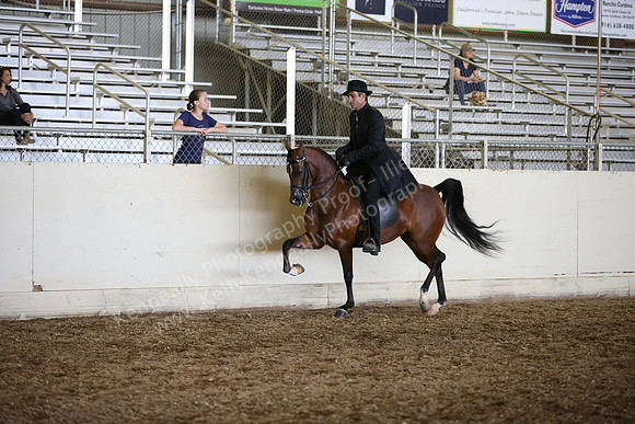 AHANC_Show18_SatPM_3369