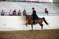AHANC_Show18_SatPM_3371