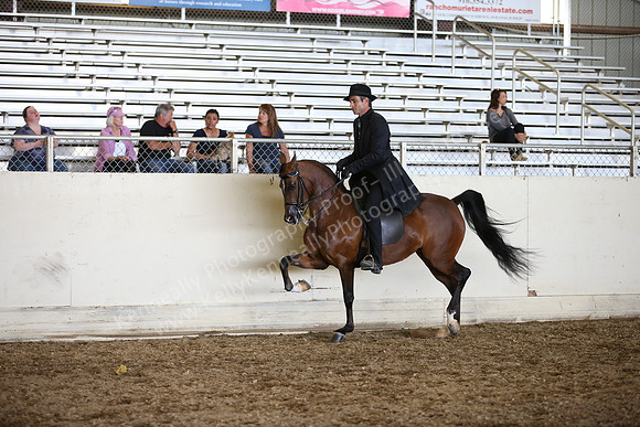 AHANC_Show18_SatPM_3371