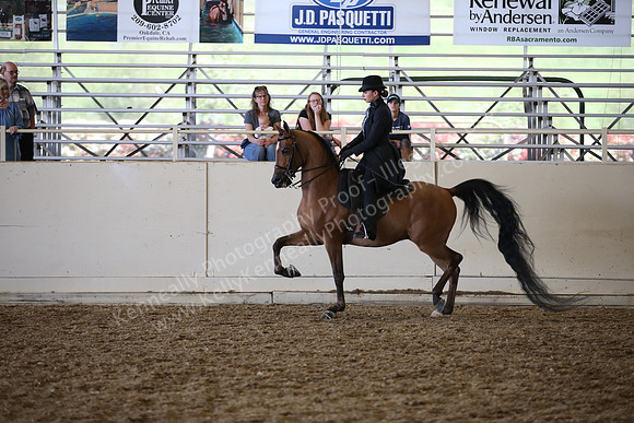 AHANC_Show18_SatPM_3366