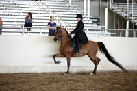 AHANC_Show18_SatPM_3383