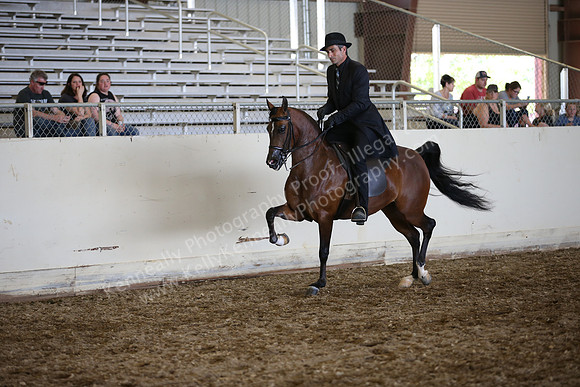 AHANC_Show18_SatPM_3388
