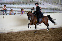 AHANC_Show18_SatPM_3389
