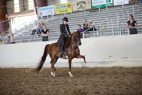 AHANC_Show18_SatPM_3392
