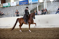 AHANC_Show18_SatPM_3393