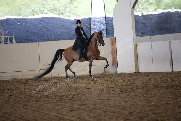 AHANC_Show18_SatPM_3402