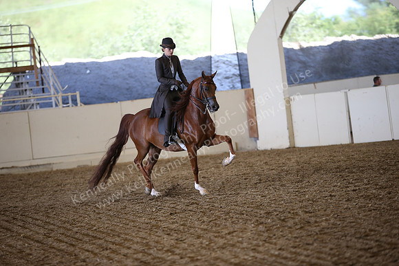 AHANC_Show18_SatPM_3423