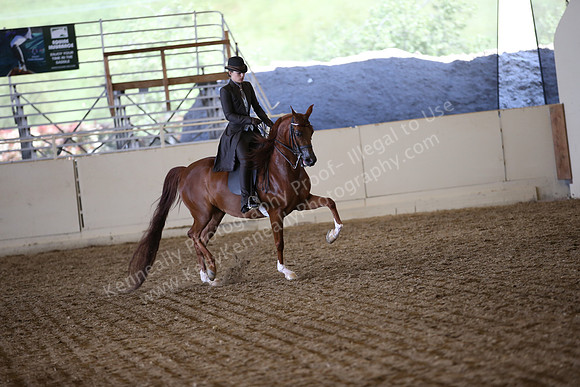 AHANC_Show18_SatPM_3422