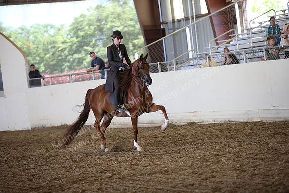 AHANC_Show18_SatPM_3424
