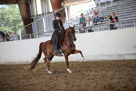 AHANC_Show18_SatPM_3425