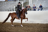 AHANC_Show18_SatPM_3426