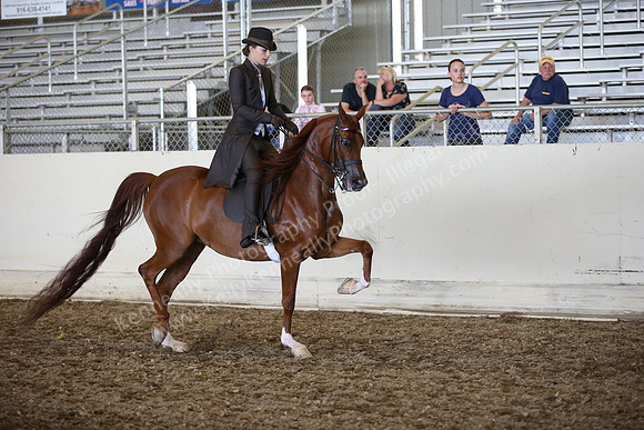 AHANC_Show18_SatPM_3426