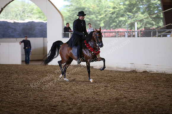 AHANC_Show18_SatPM_3430