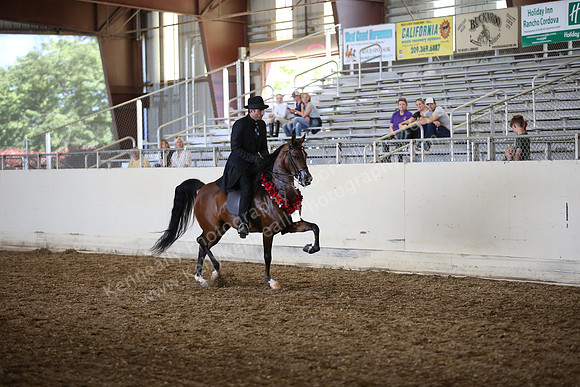AHANC_Show18_SatPM_3432