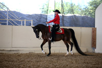 Class 123 HA/AA Wester Pl AATR Champ