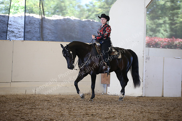 AHANC_Show18_SatPM_3449