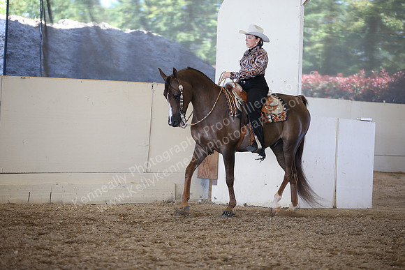 AHANC_Show18_SatPM_3454