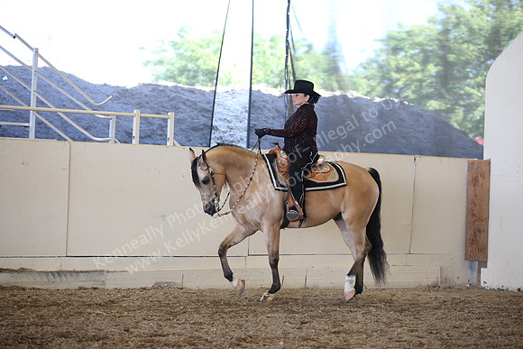 AHANC_Show18_SatPM_3461