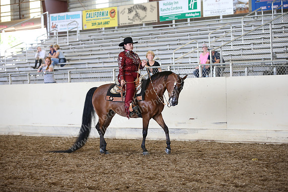 AHANC_Show18_SatPM_3475