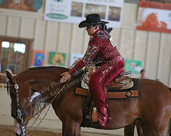 AHANC_Show18_SatPM_3481