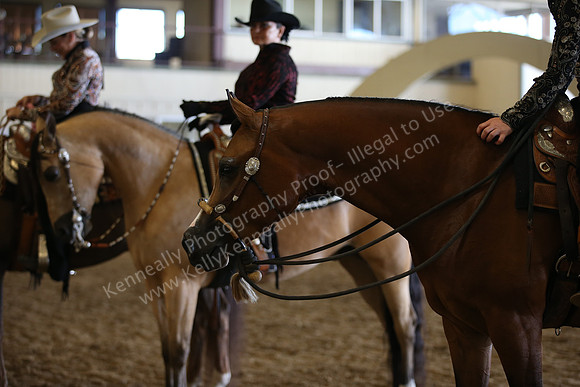 AHANC_Show18_SatPM_3483