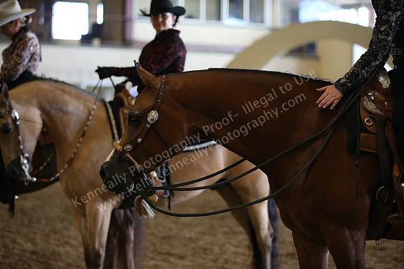AHANC_Show18_SatPM_3484