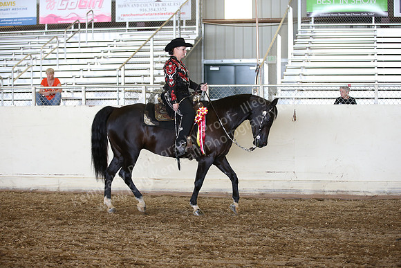 AHANC_Show18_SatPM_3488