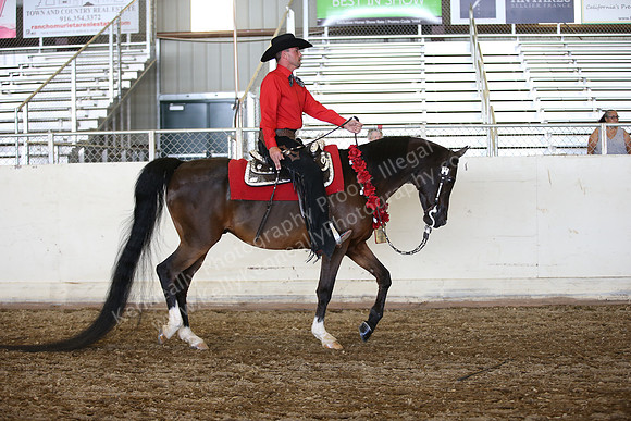 AHANC_Show18_SatPM_3497