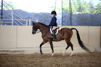 Class 124 Arabian Hunter Pl JTR 13 & Under Champ