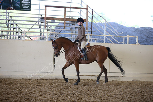 AHANC_Show18_SatPM_3504