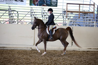 AHANC_Show18_SatPM_3511