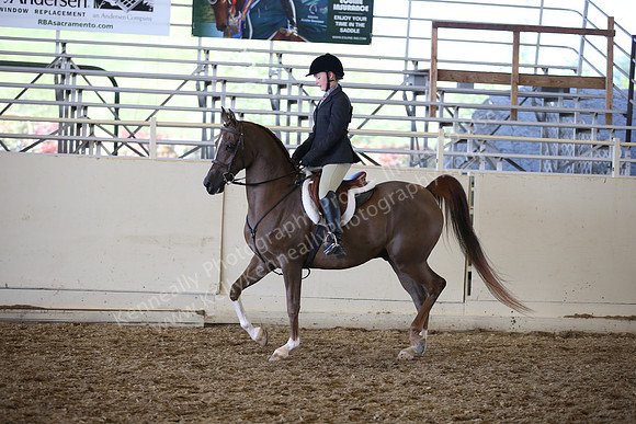 AHANC_Show18_SatPM_3511