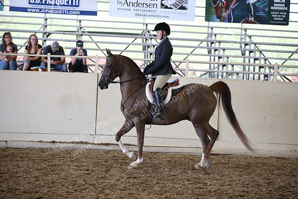 AHANC_Show18_SatPM_3512