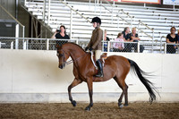AHANC_Show18_SatPM_3514