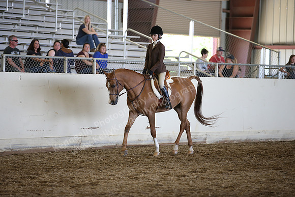 AHANC_Show18_SatPM_3520