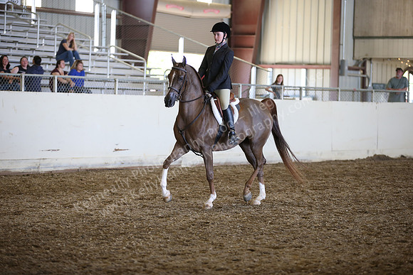 AHANC_Show18_SatPM_3523