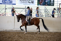 Class 125 HA/AA  Hunter Pl AATR Champ