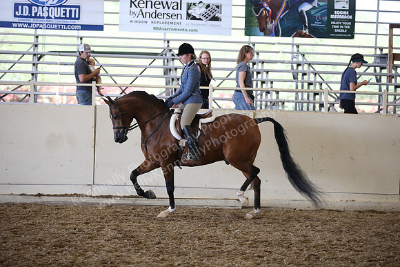 AHANC_Show18_SatPM_3546