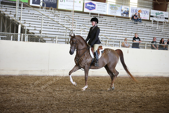 AHANC_Show18_SatPM_3525