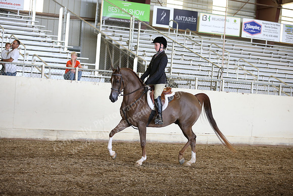 AHANC_Show18_SatPM_3526