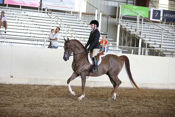 AHANC_Show18_SatPM_3527