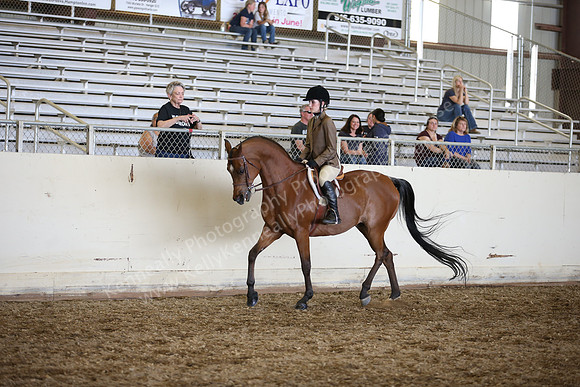 AHANC_Show18_SatPM_3528