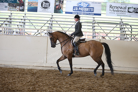 AHANC_Show18_SatPM_3559